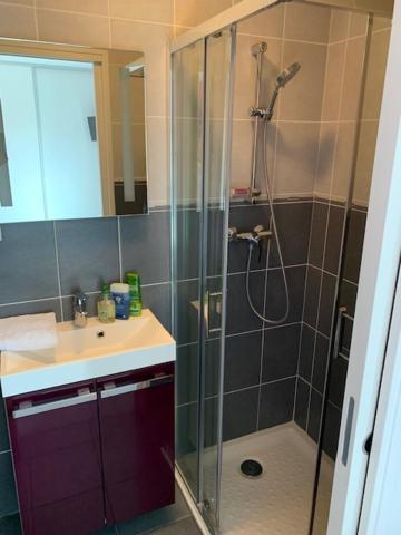 Petit Studio Dans Villa Bord De Lac Aix-les-Bains Eksteriør billede